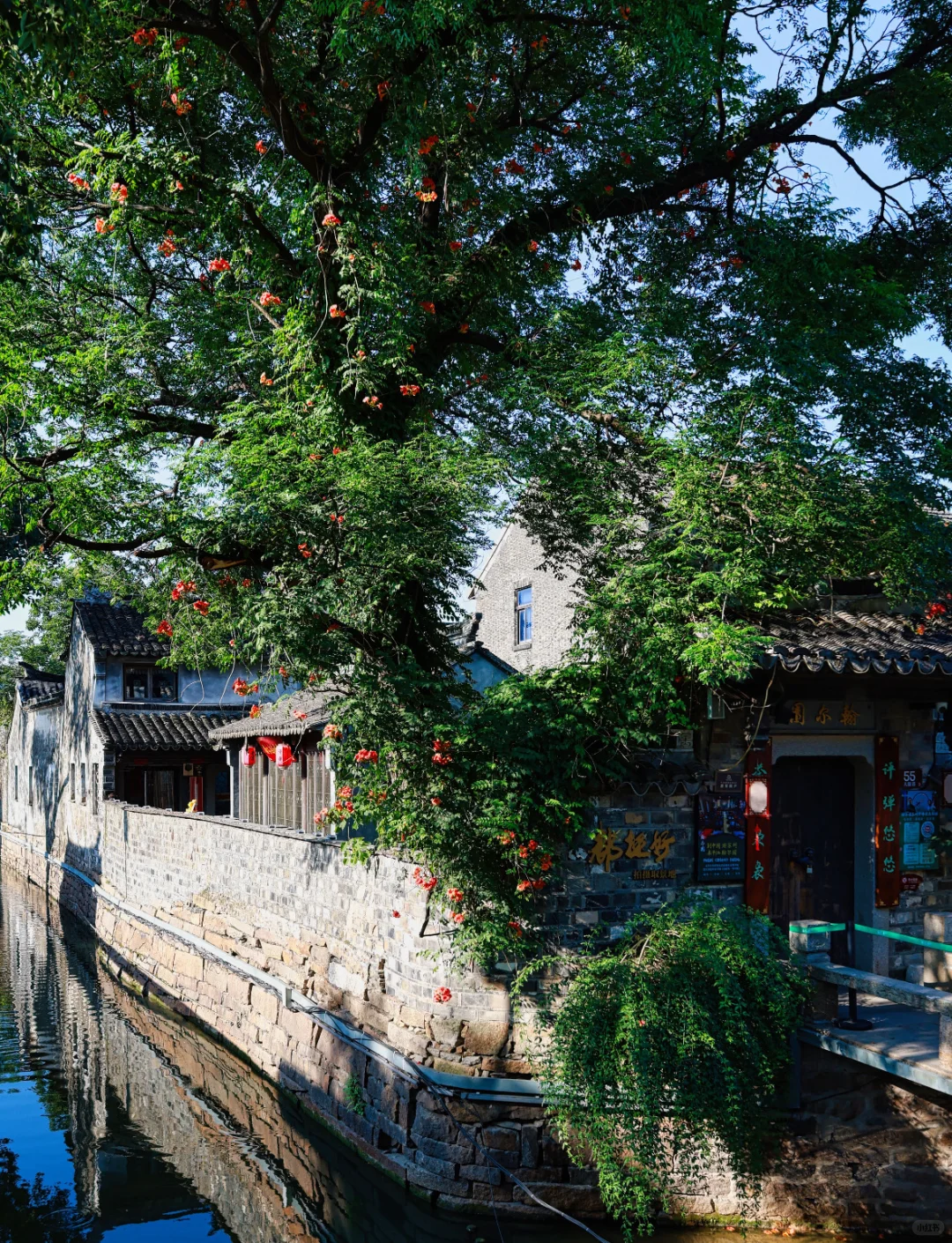 一条平江路，半座姑苏城｜从早到晚攻略