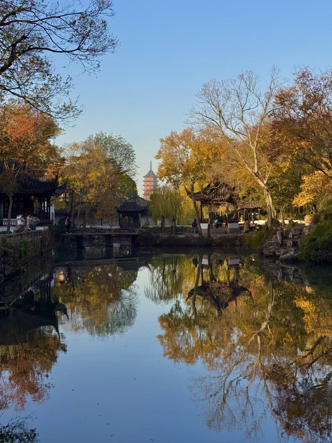 11.29live｜拙政园的秋色美疯了！！！！！🍁