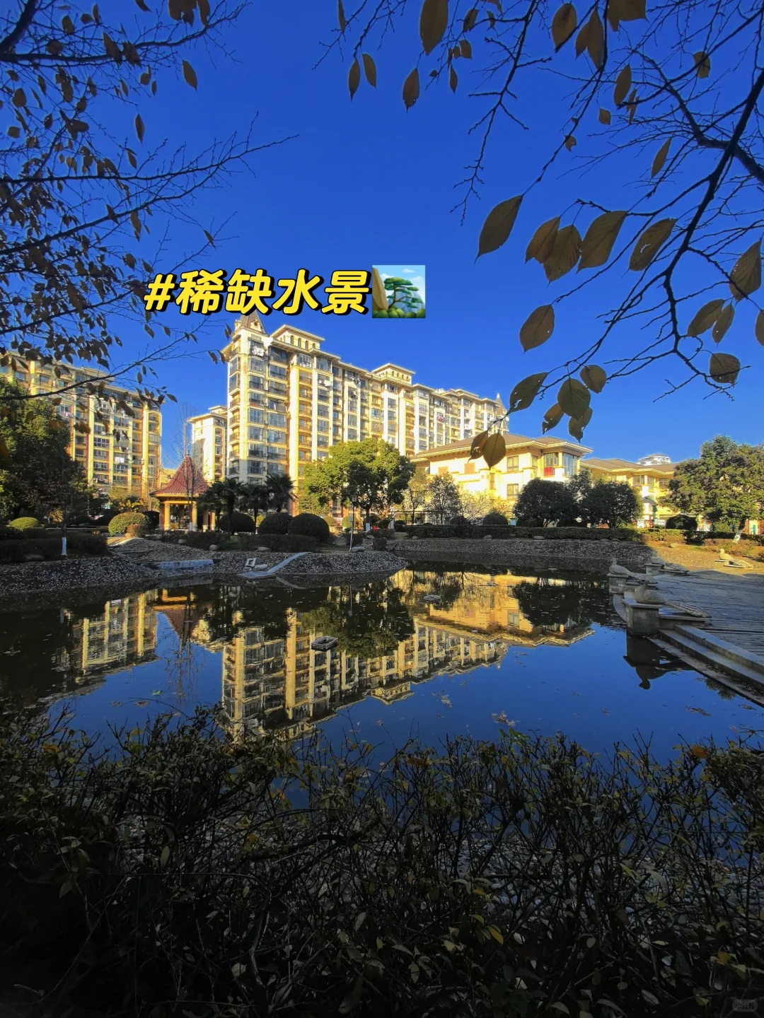 南京梦想养老神房‼️这样的房子必须看‼️