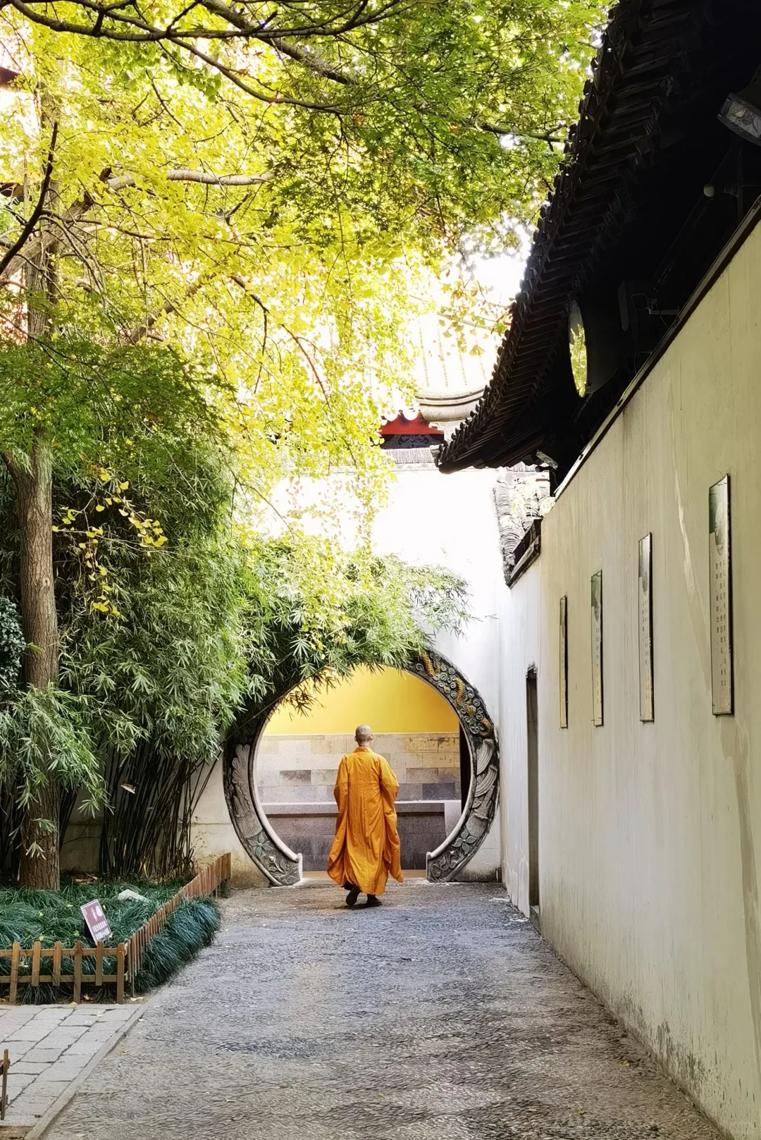 热爱镜头里的每一处苏州