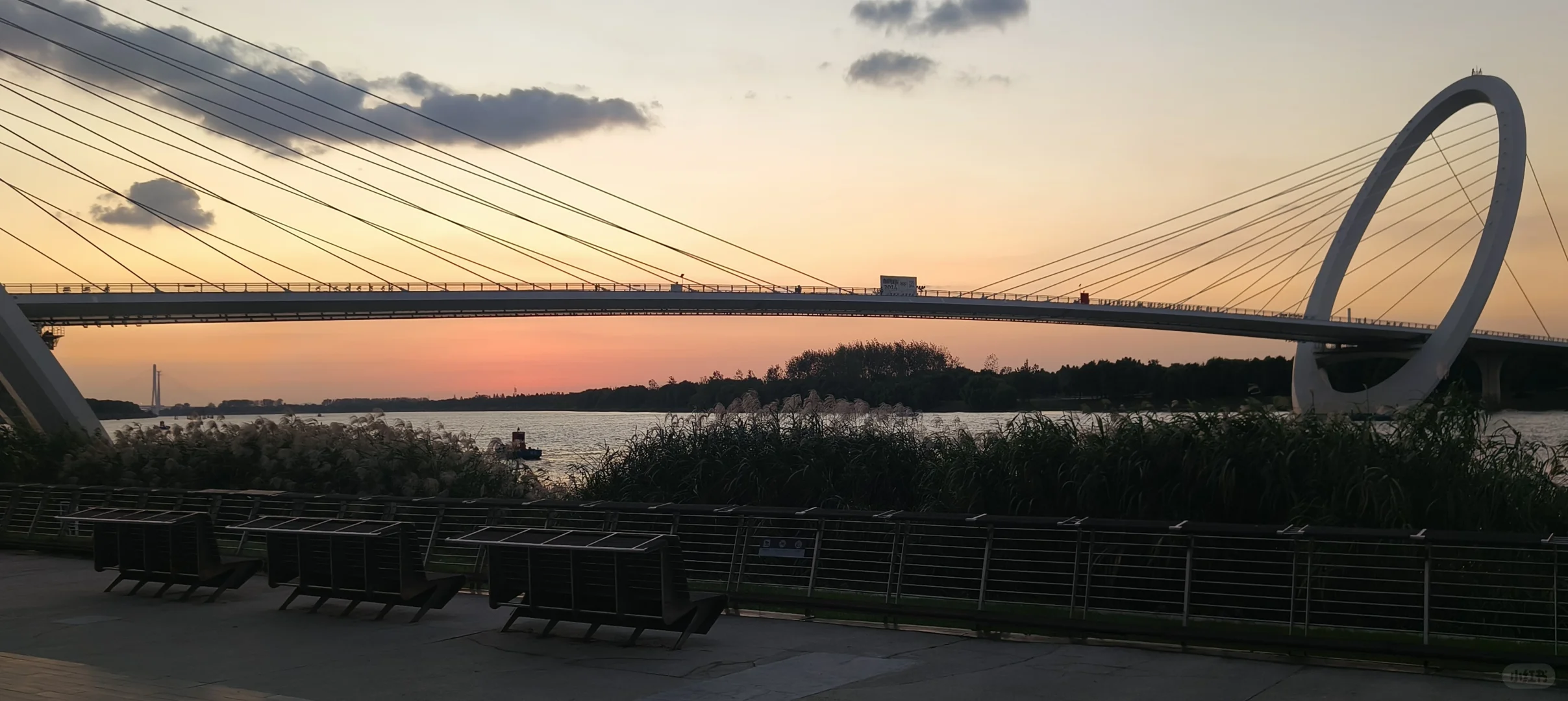 对方邀你云游南京眼