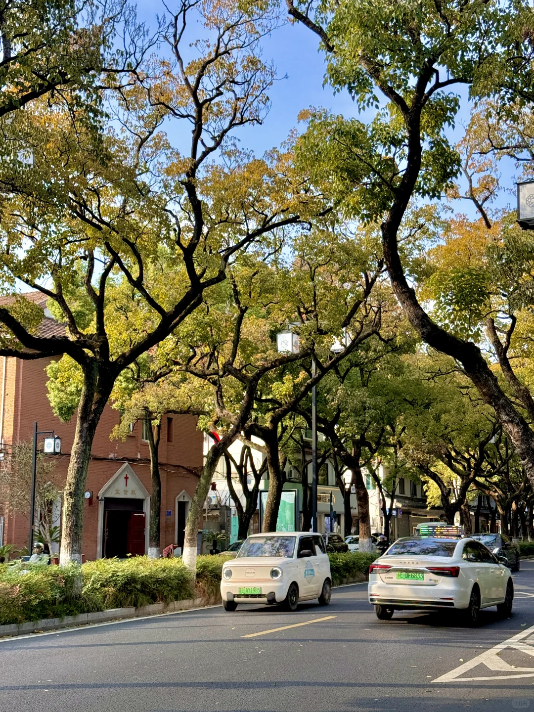 爱上苏州的一万个理由…