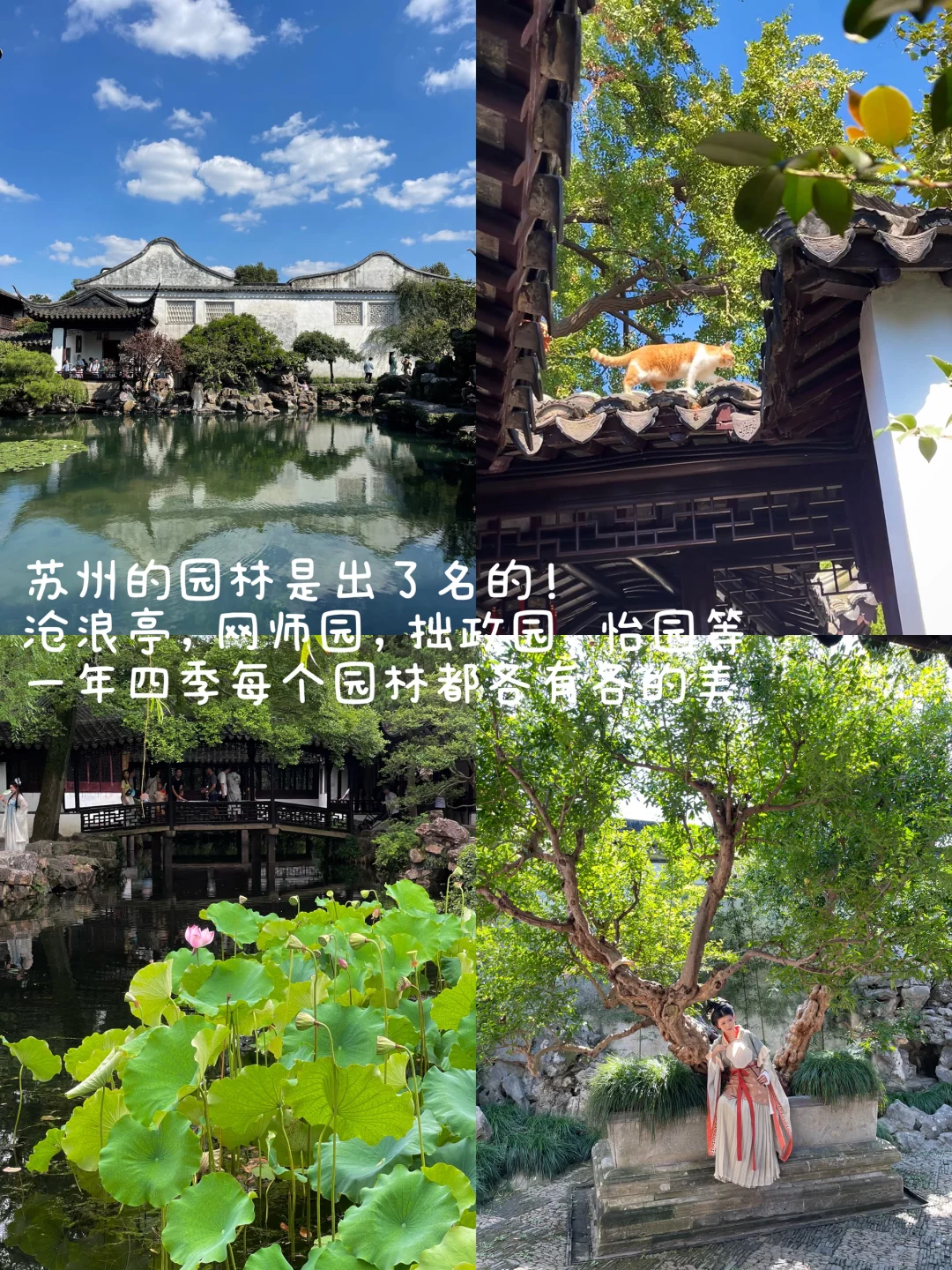 苏州citywalk | 邂逅最纯粹的江南韵味