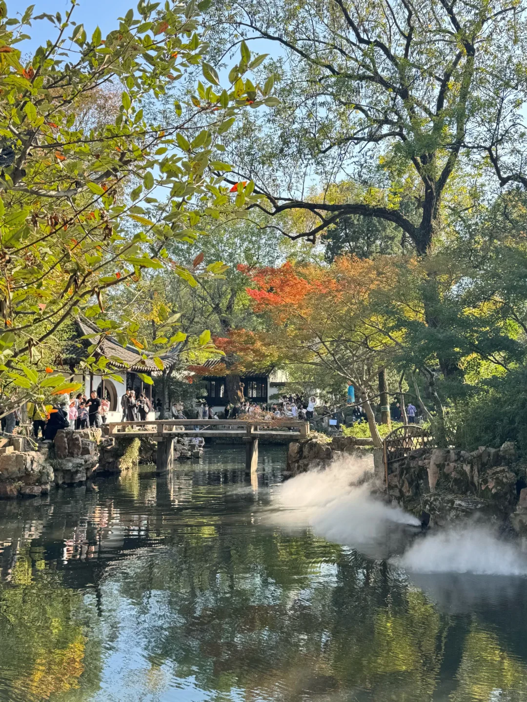 苏州的秋天鲨疯了！！😭