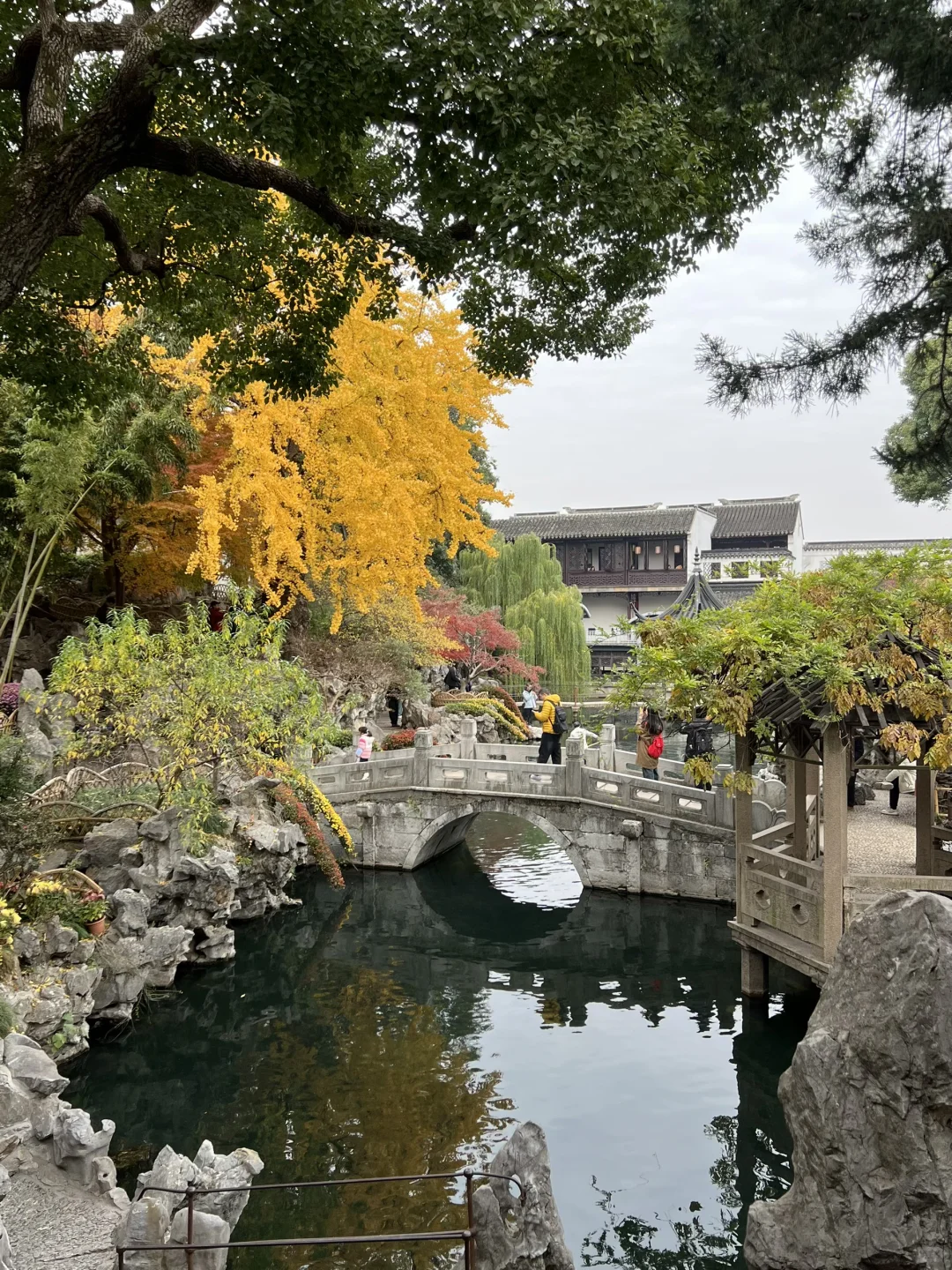 上有天堂、下有蘇杭🌷🌱🌸🍃🍁💐