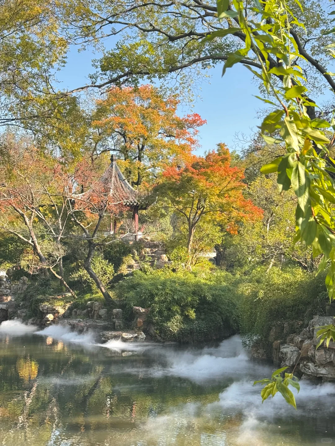 苏州的秋天鲨疯了！！😭