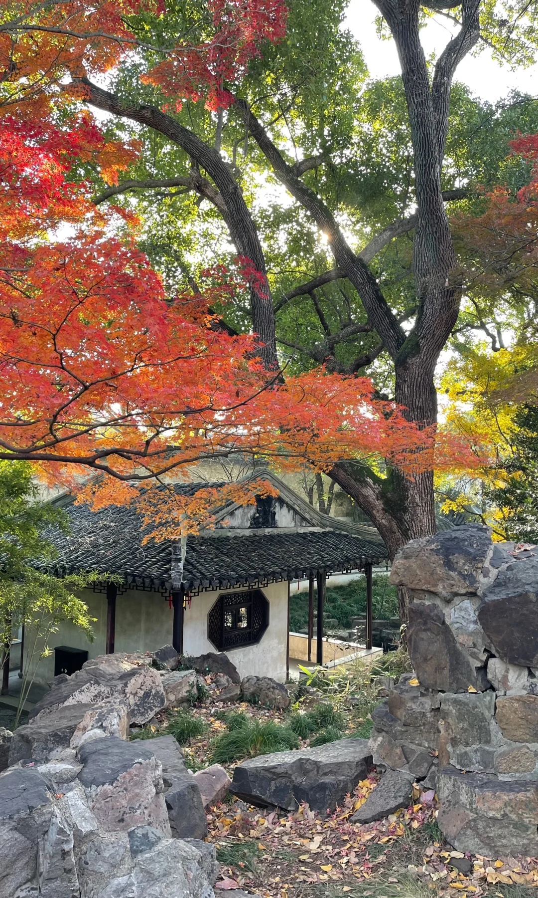 18张live图🍁告诉你苏州秋天有多美！！