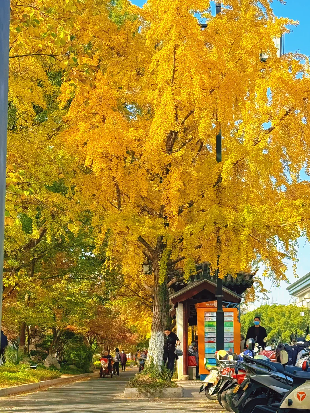 预计下周，全苏州人员都会来这里……