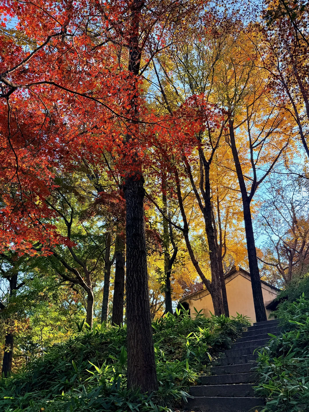 12.3苏州今天杀疯了！！！！！！！！！！！！！！