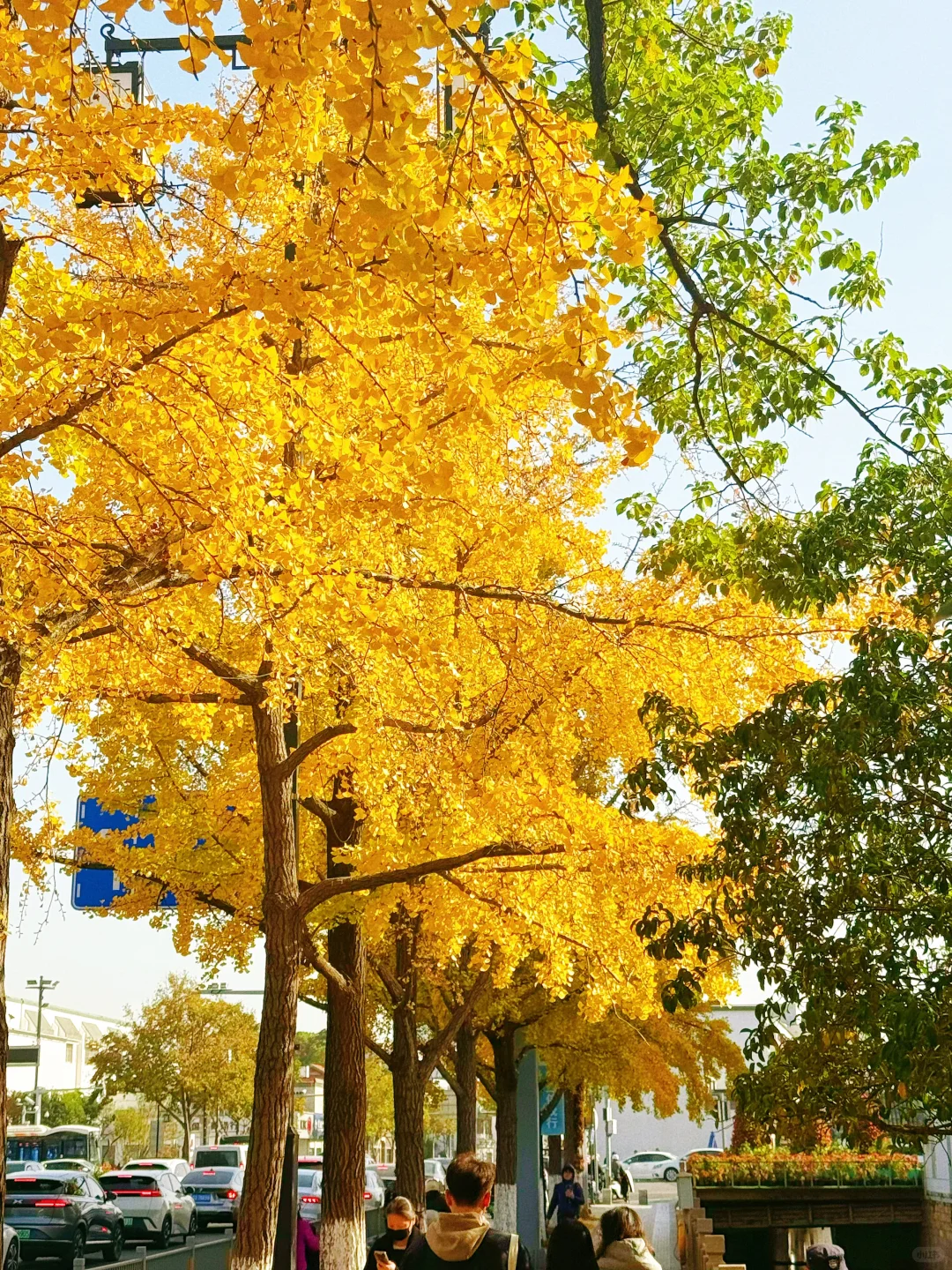 预计下周，全苏州人员都会来这里……