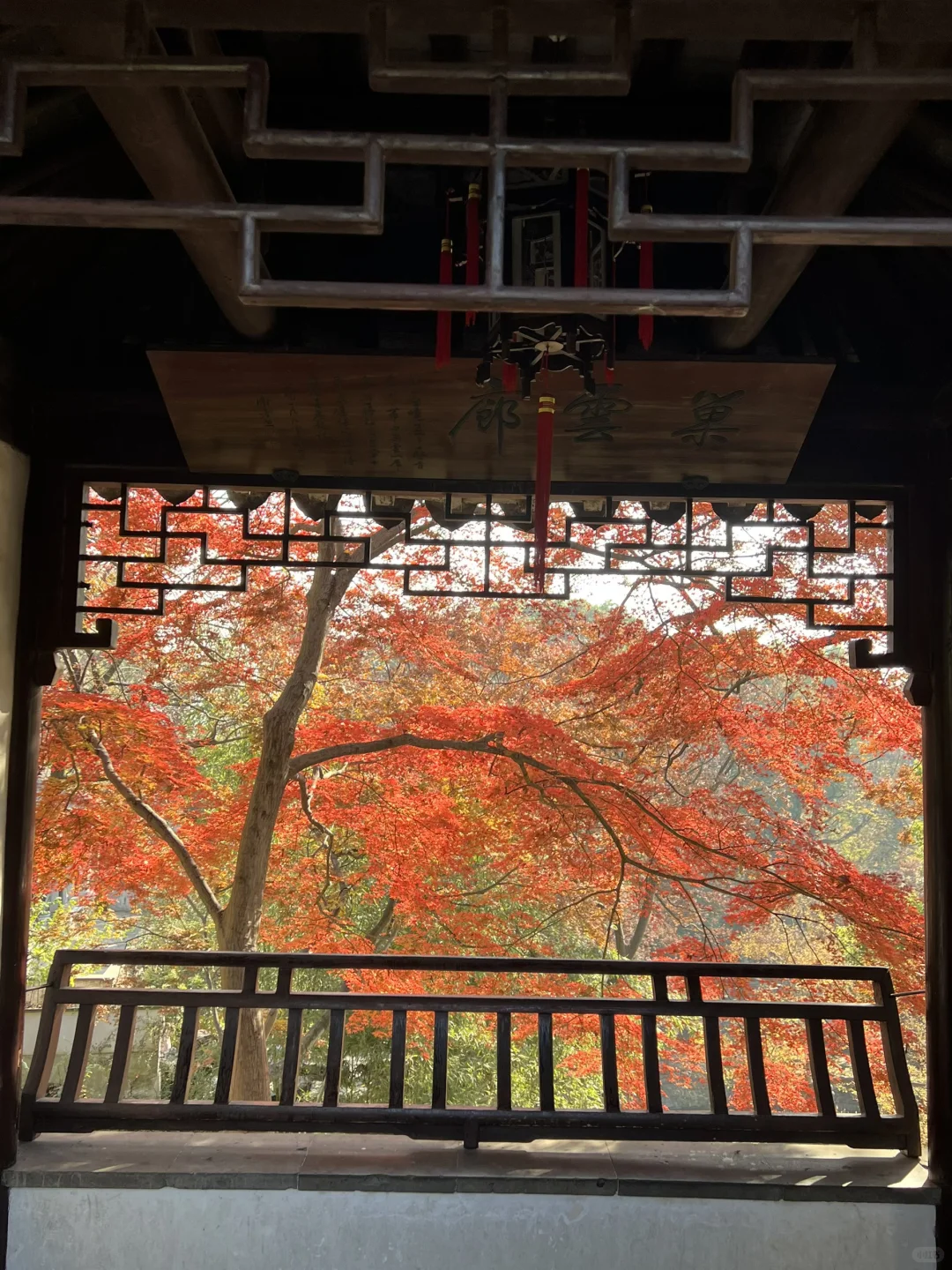 上有天堂、下有蘇杭🌷🌱🌸🍃🍁💐