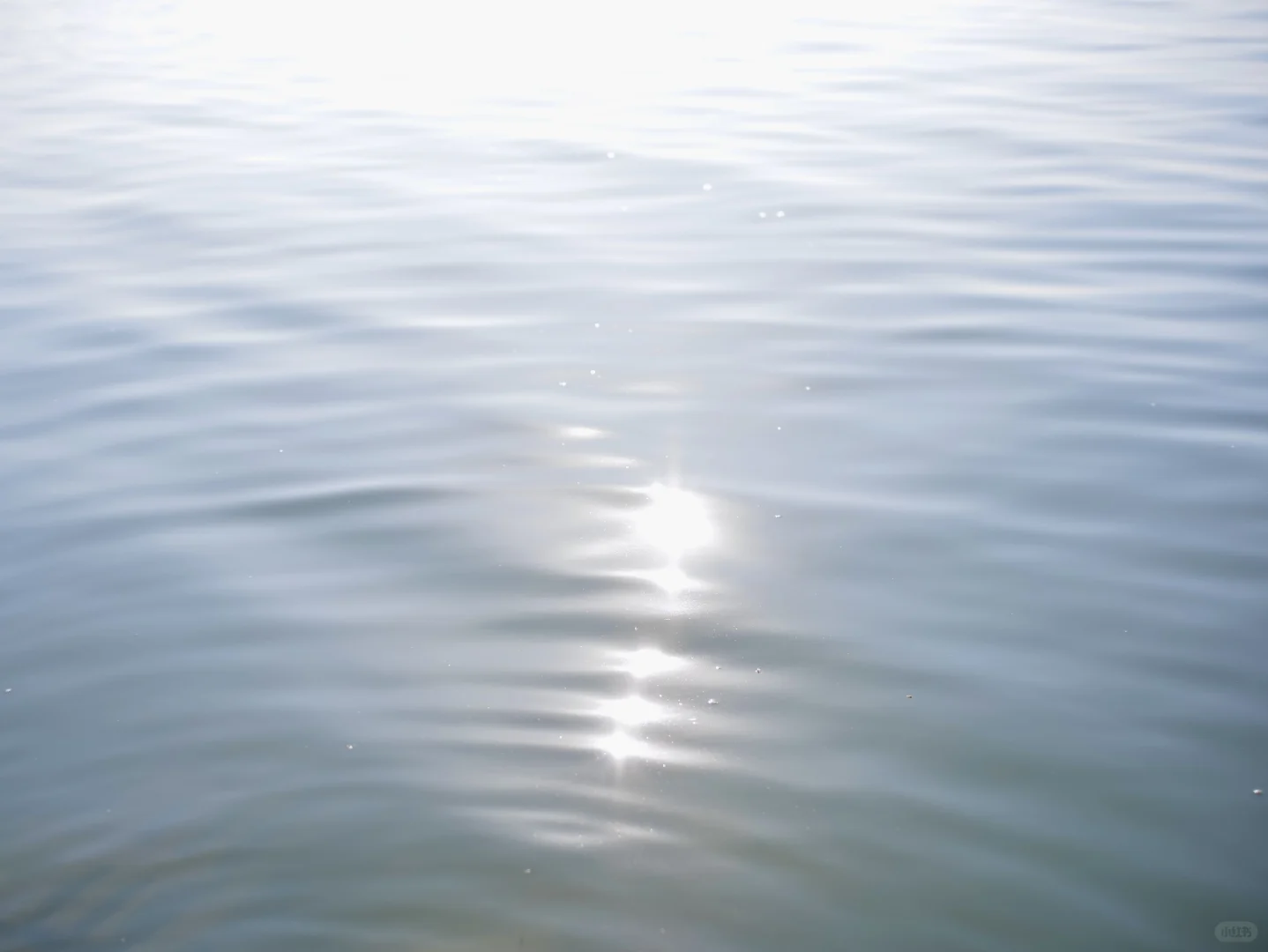 阳澄湖边“世外桃源”