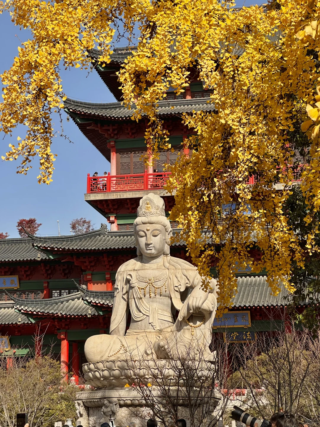 12.1实况！南京的秋天美疯了（合集附地址…