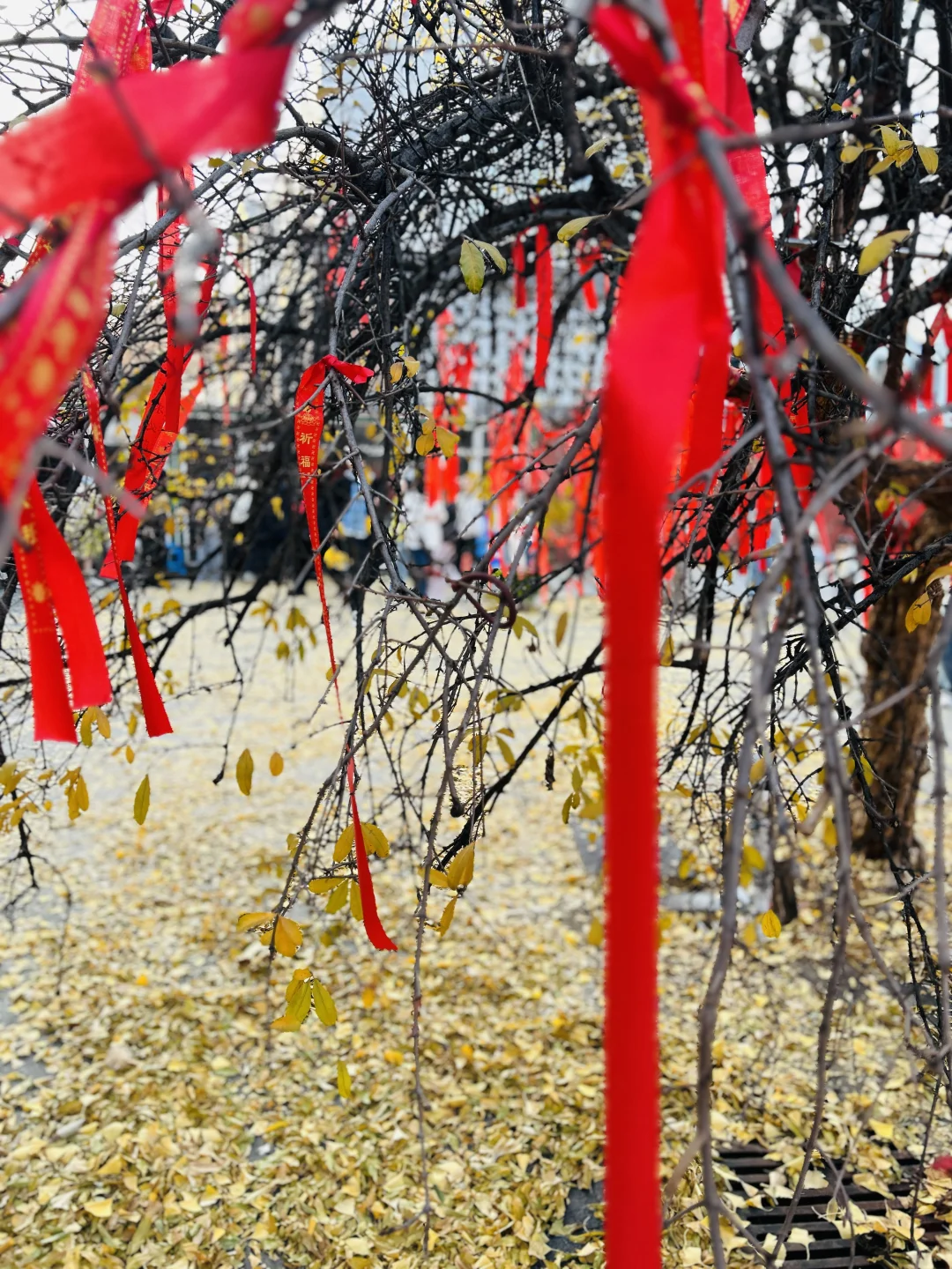 南京毗卢寺：喧嚣闹市中穿越时空的禅境