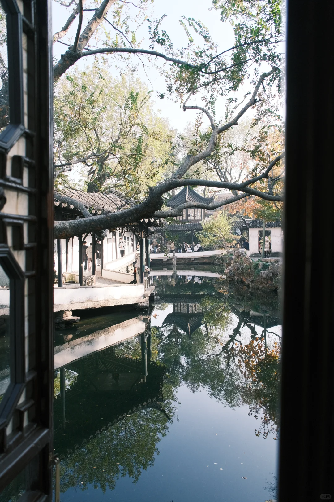 中国四大名园之一，拙政园🍂