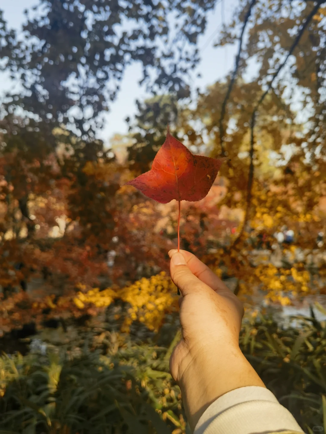苏州特种兵一日游