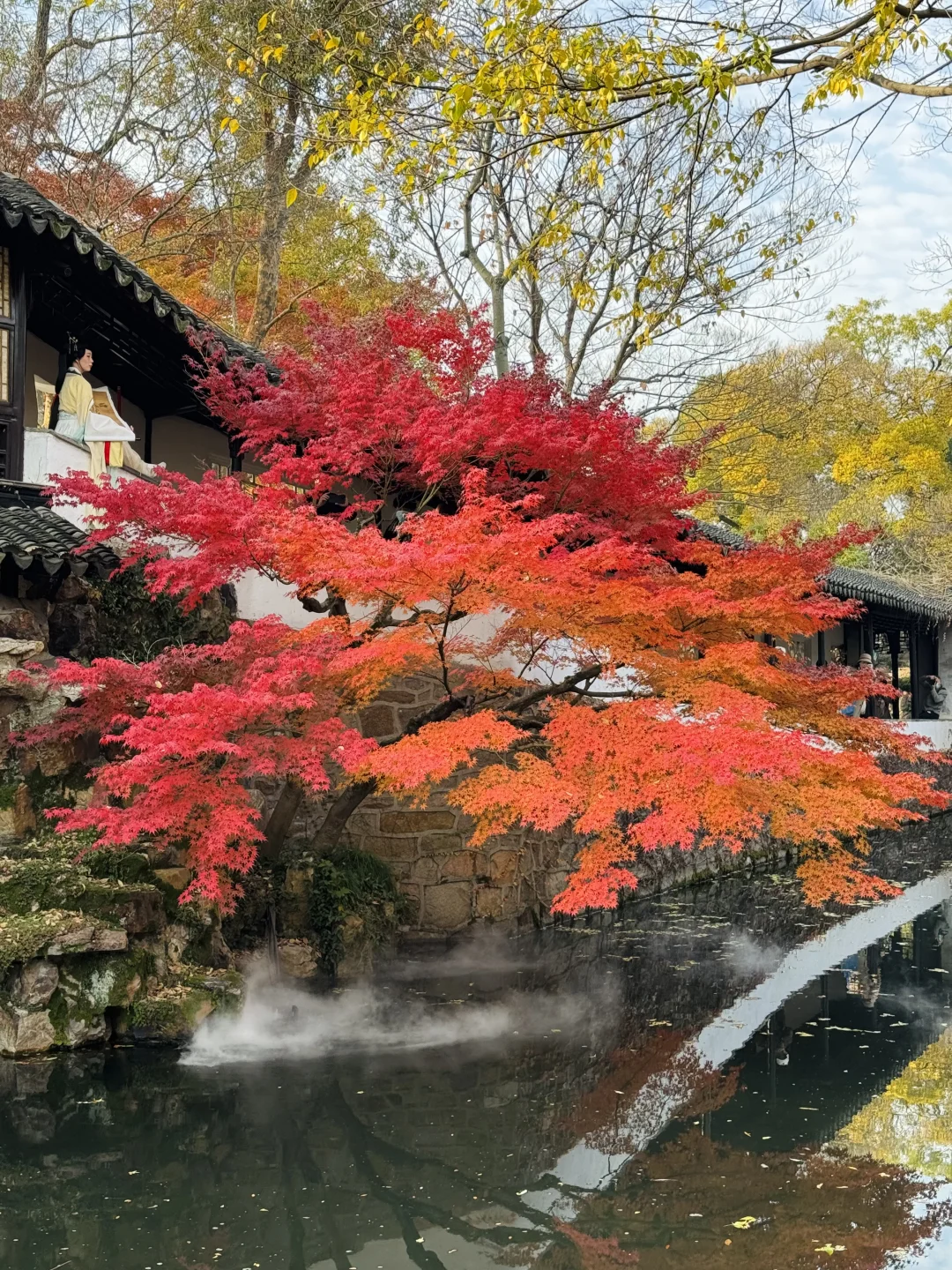 Live🍁接下来的苏州，将迎来封神级别的秋天