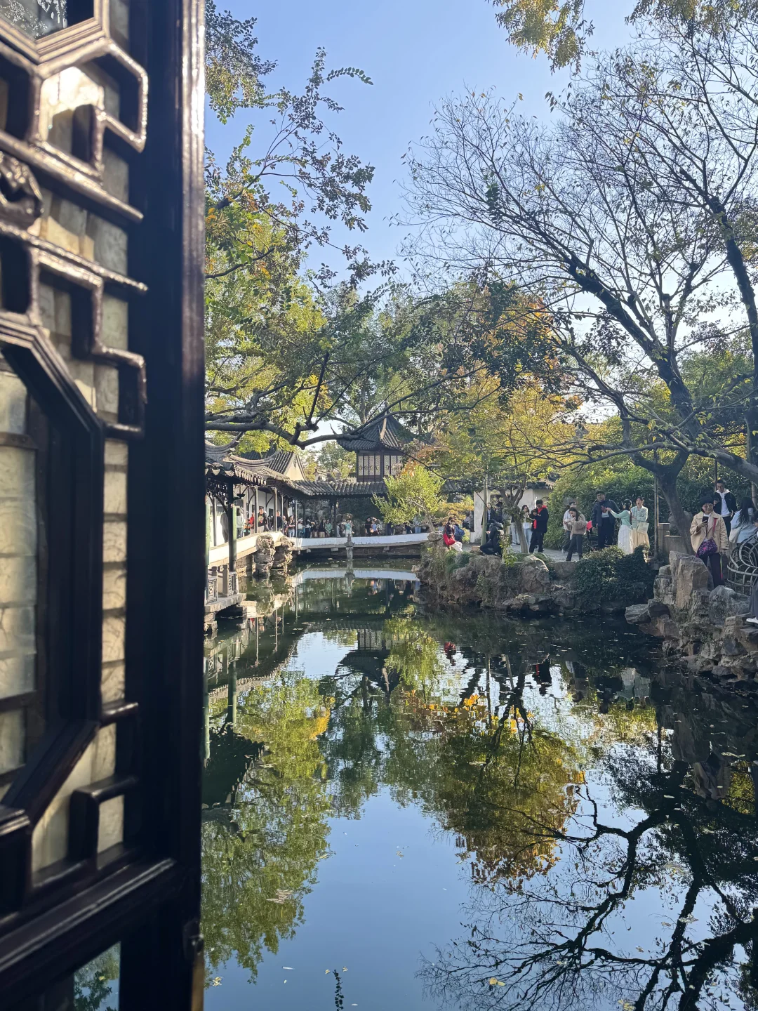 苏州的秋天鲨疯了！！😭