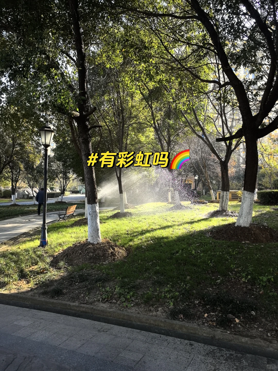 南京梦想养老神房‼️这样的房子必须看‼️