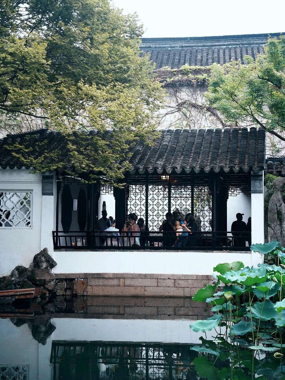 苏州｜一步一景，尽显江南诗意