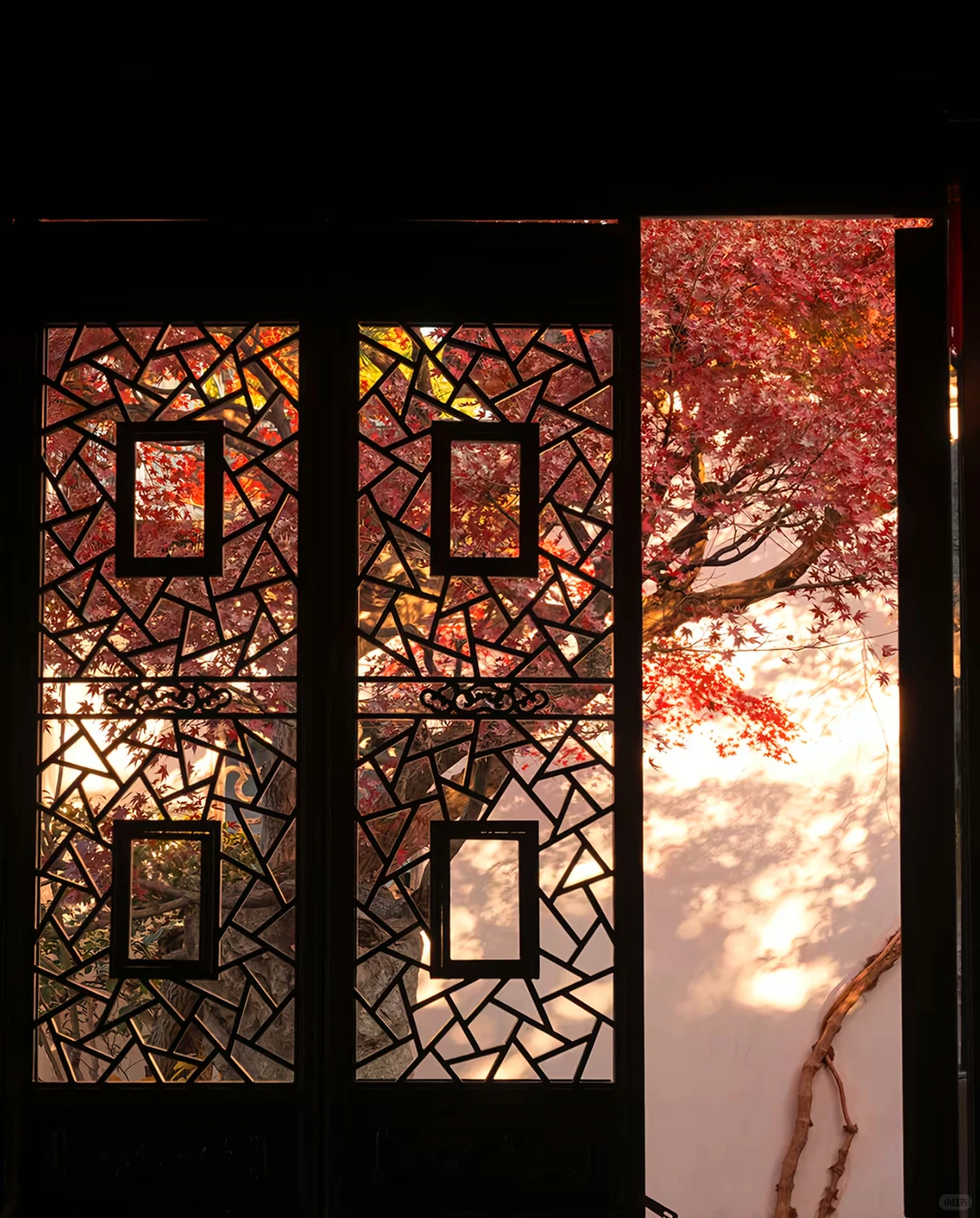 热爱镜头里的每一处苏州