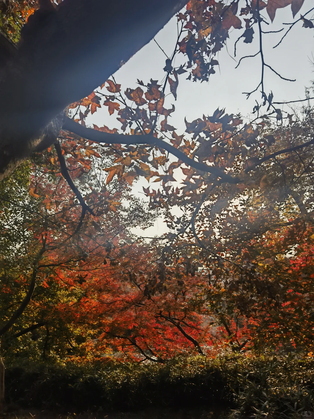 苏州特种兵一日游