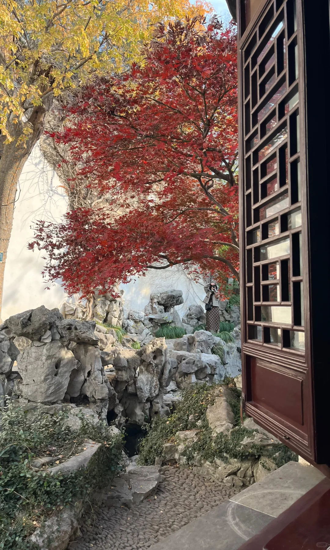 18张live图🍁告诉你苏州秋天有多美！！