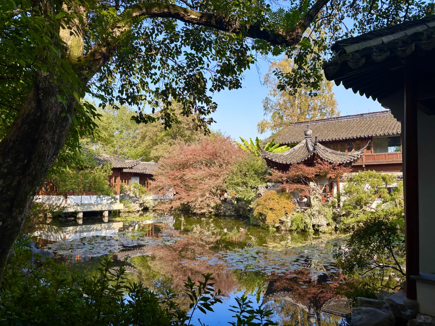 西湖郭庄不逊苏州园林