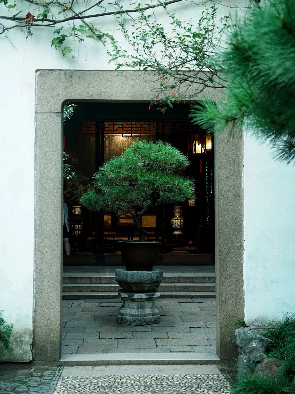 苏州｜一步一景，尽显江南诗意