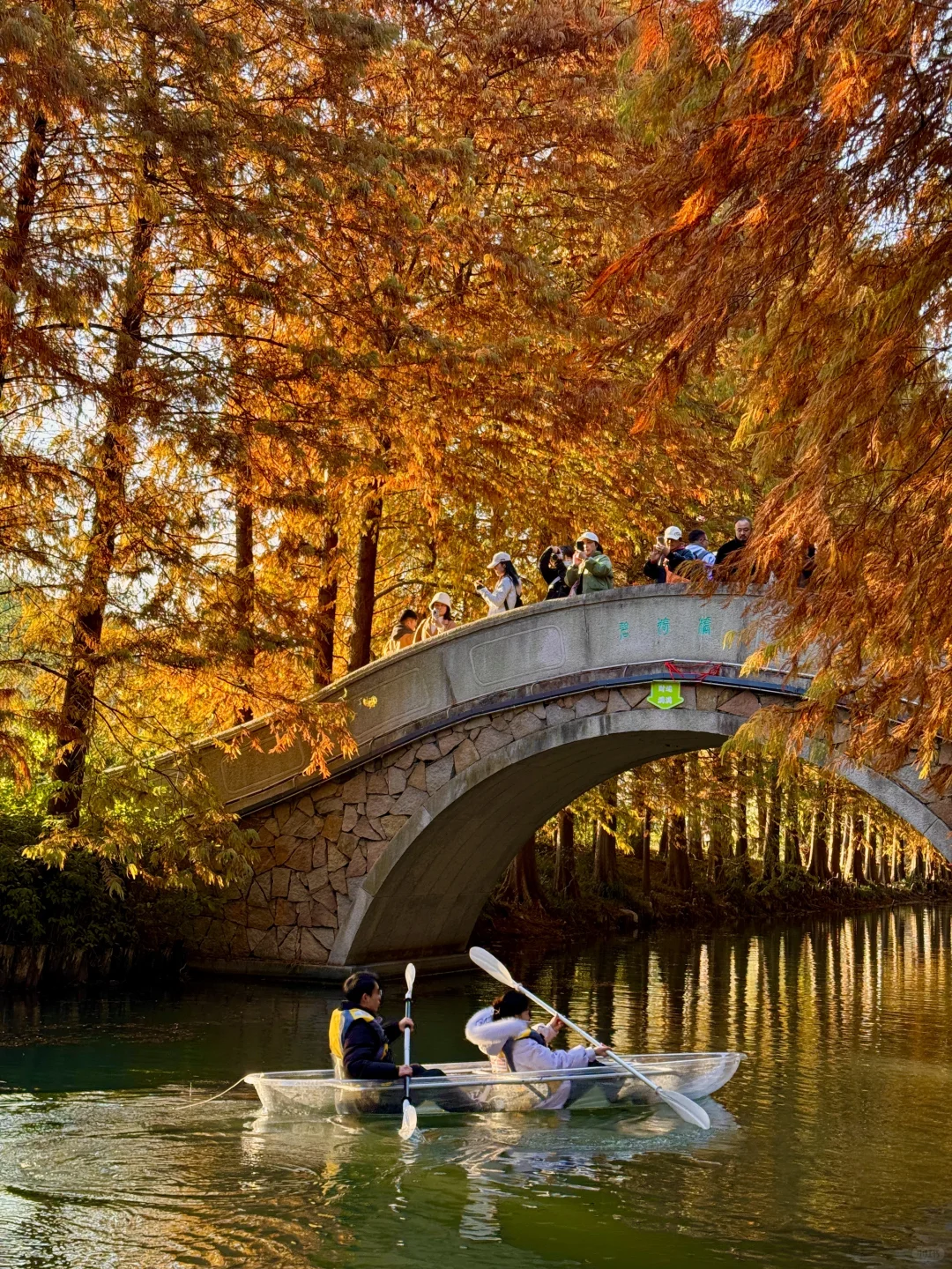 已经开始期待苏州的秋天了！！