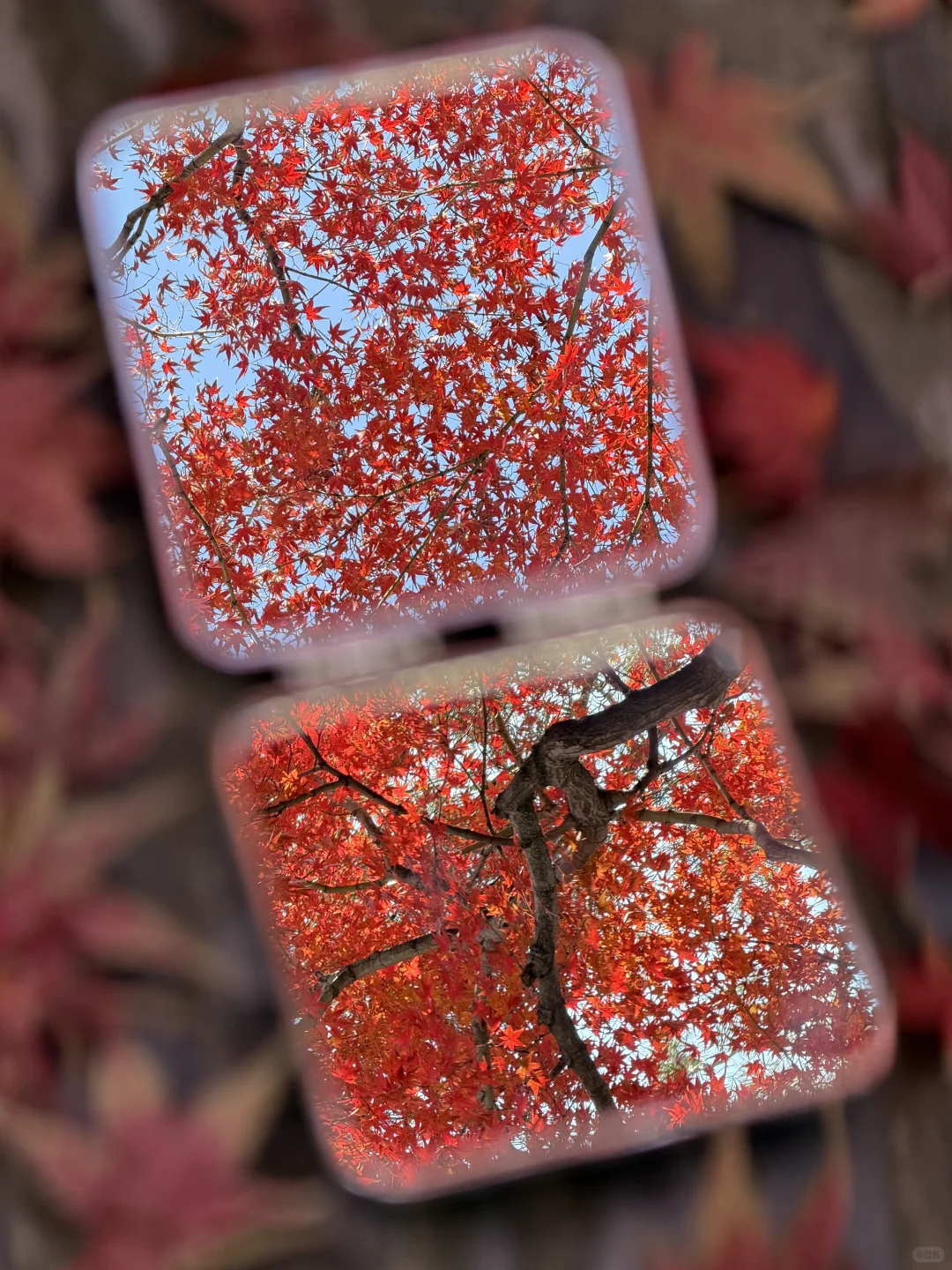 12.3苏州今天杀疯了！！！！！！！！！！！！！！