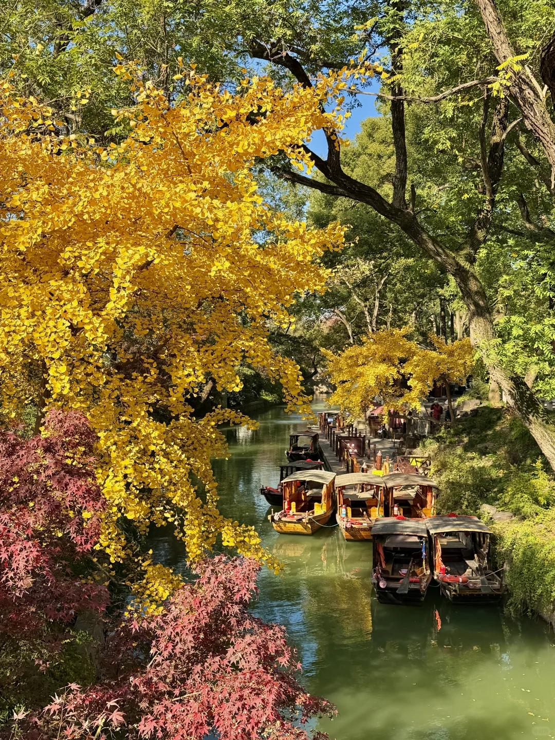 12.3苏州今天杀疯了！！！！！！！！！！！！！！