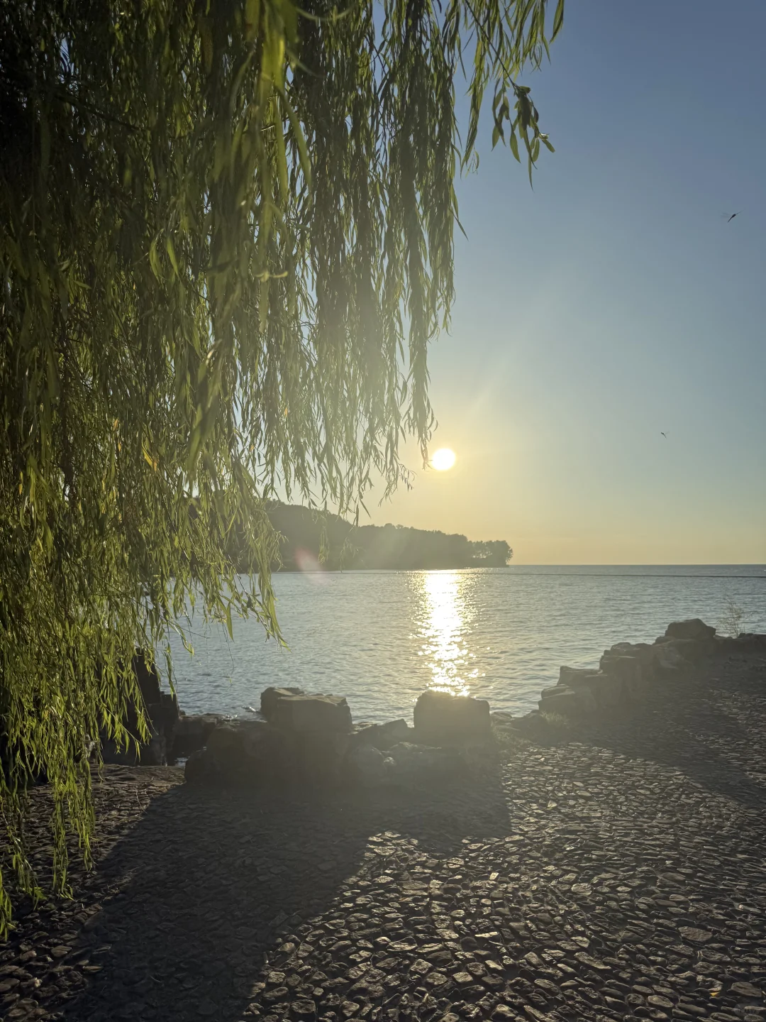 苏州也有浪漫的海岛体验🏝️