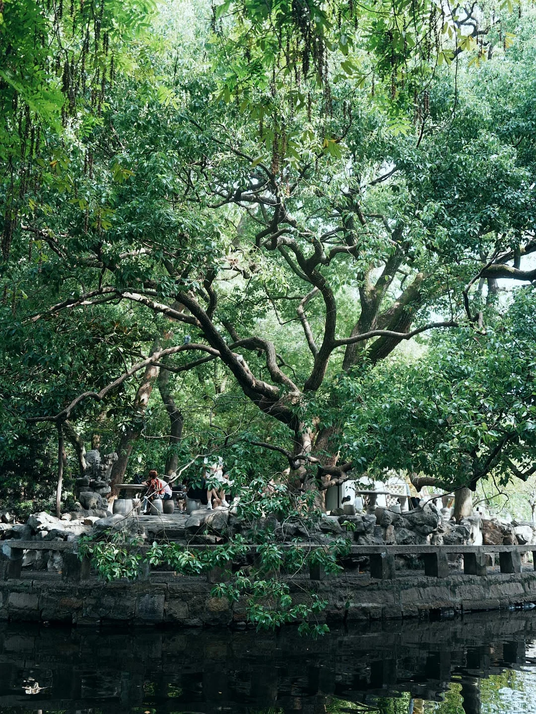 苏州｜一步一景，尽显江南诗意