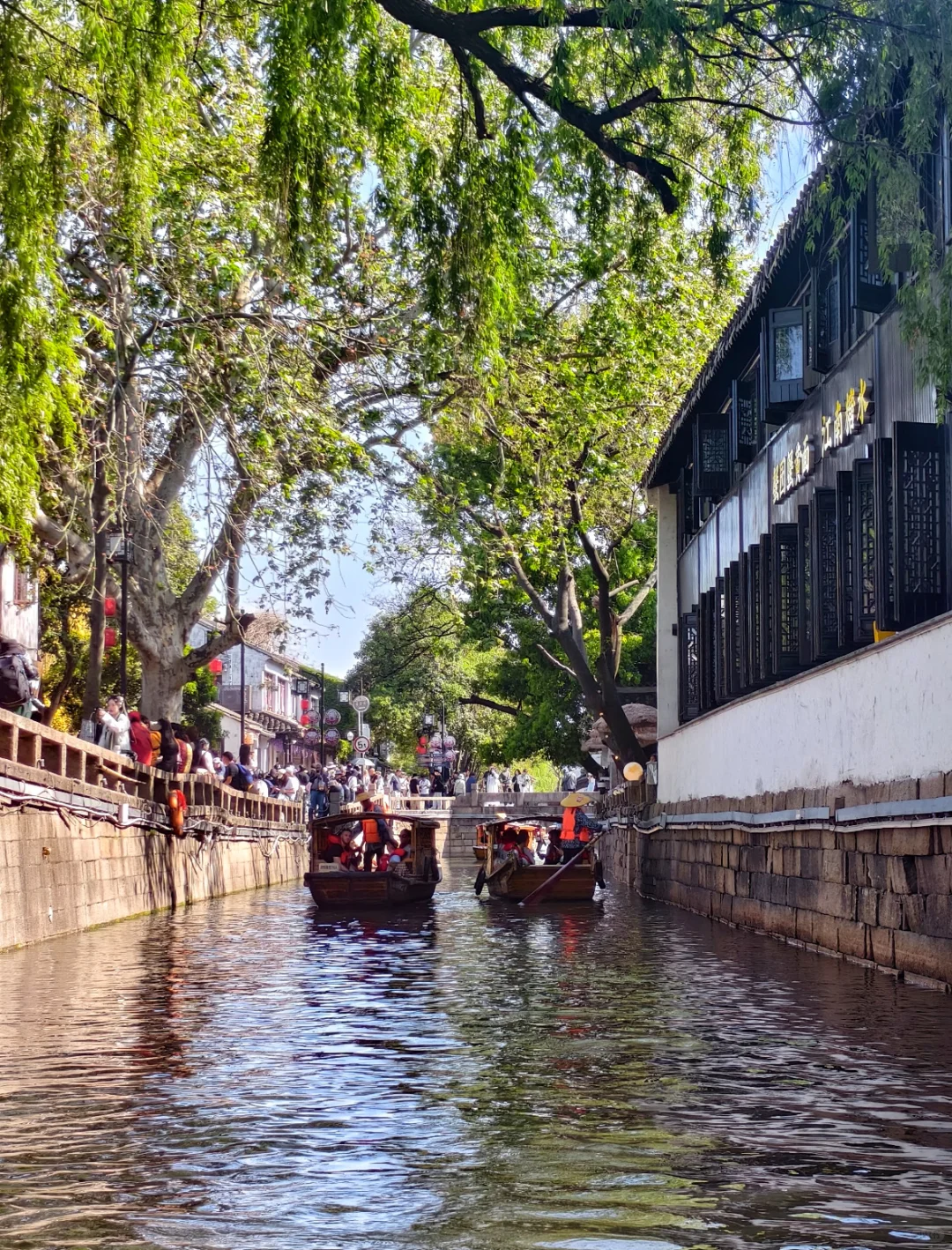 一条平江路，半座姑苏城｜从早到晚攻略