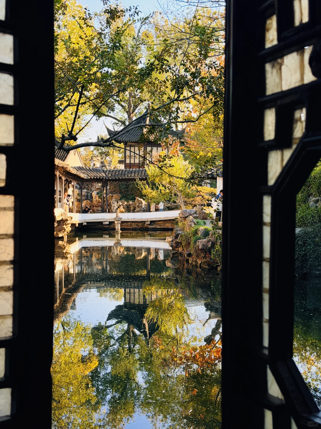 拙政园实况❗️苏州秋天的美，真的很难不爱❗️
