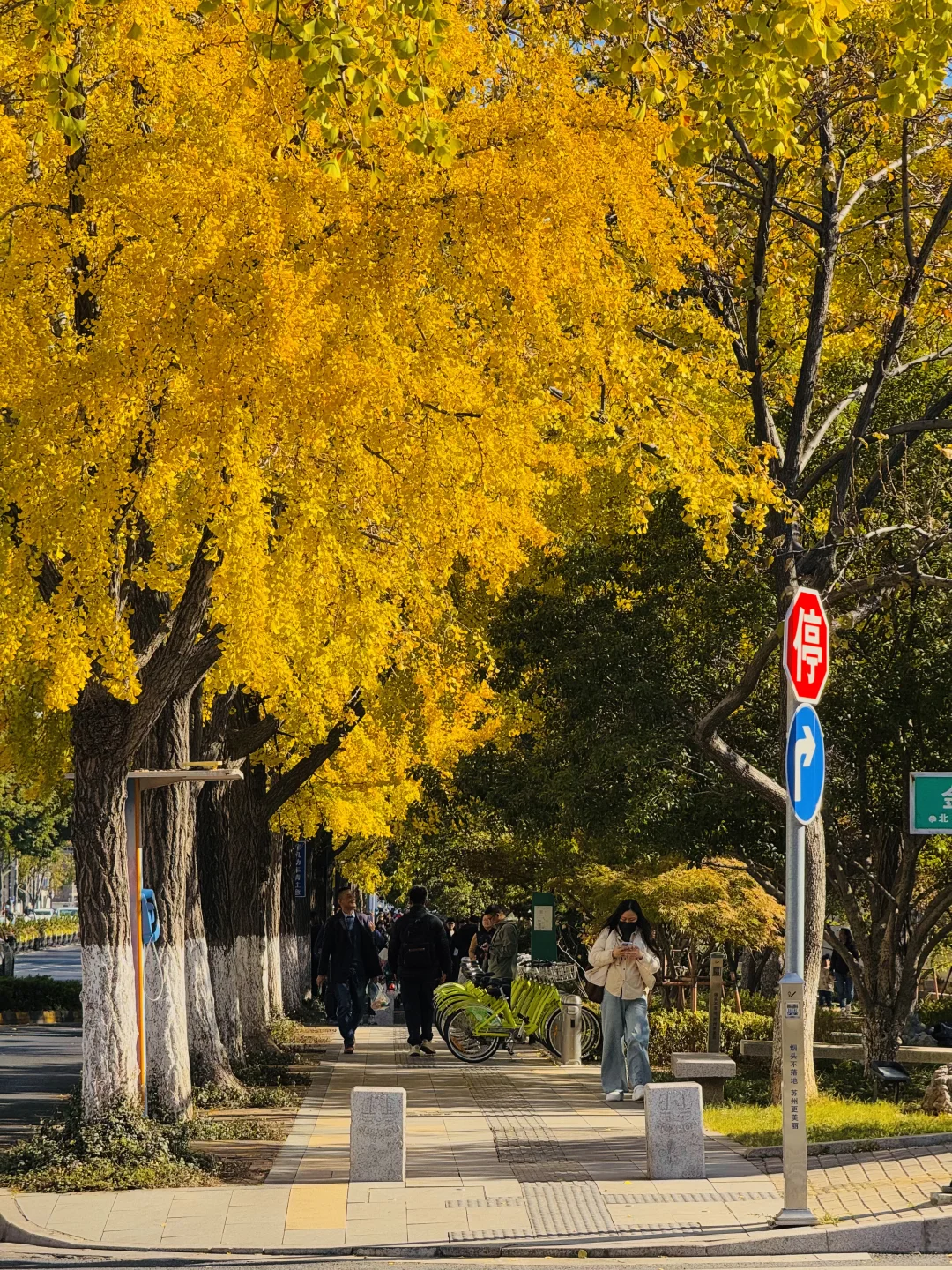 苏州的秋天即将封神 ！！！
