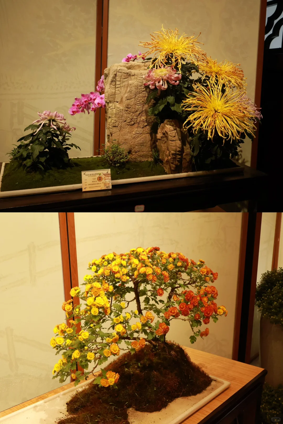 SEU｜周末逃离车大🚗之苏州！