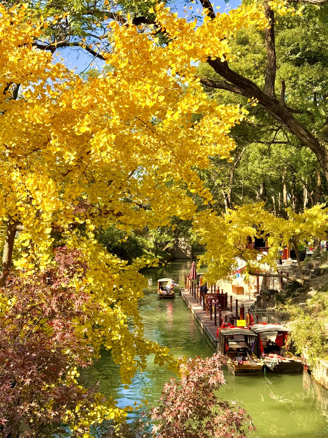 Live🍁接下来的苏州，将迎来封神级别的秋天