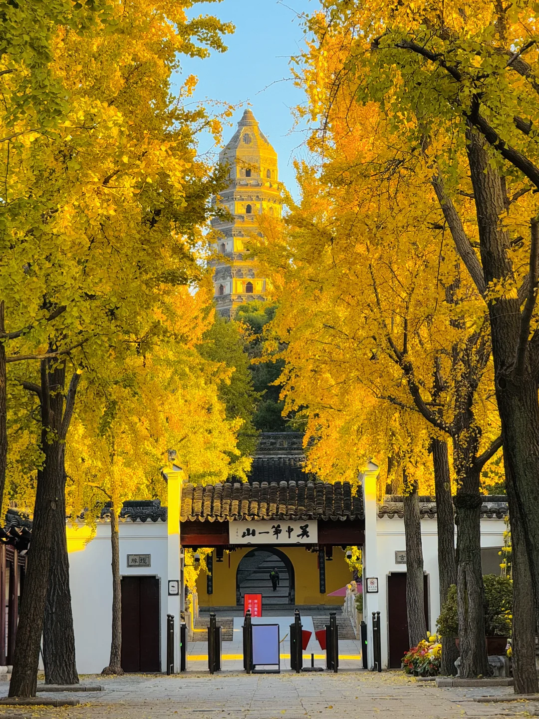 苏州的秋天即将封神 ！！！