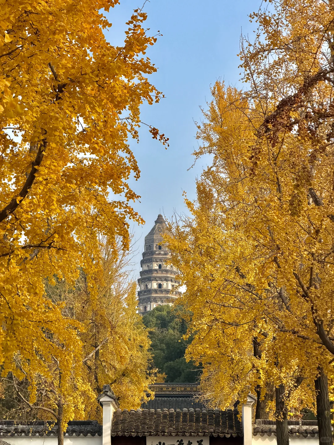 12.3苏州今天杀疯了！！！！！！！！！！！！！！