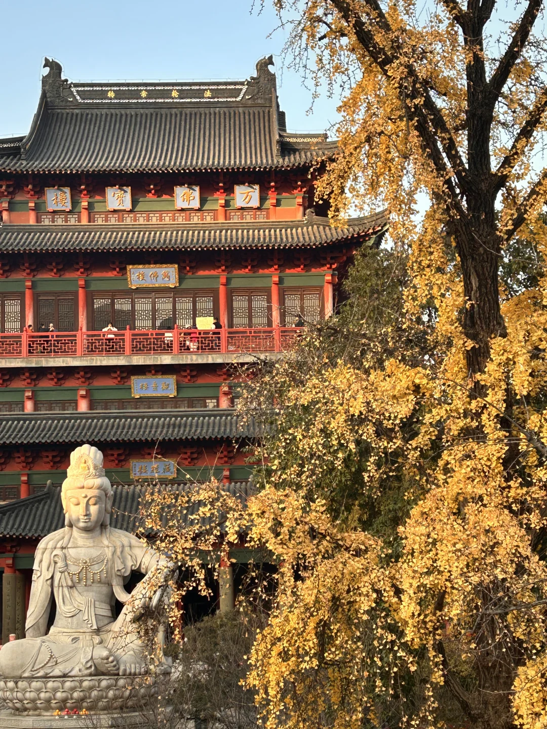 南京毗卢寺：喧嚣闹市中穿越时空的禅境