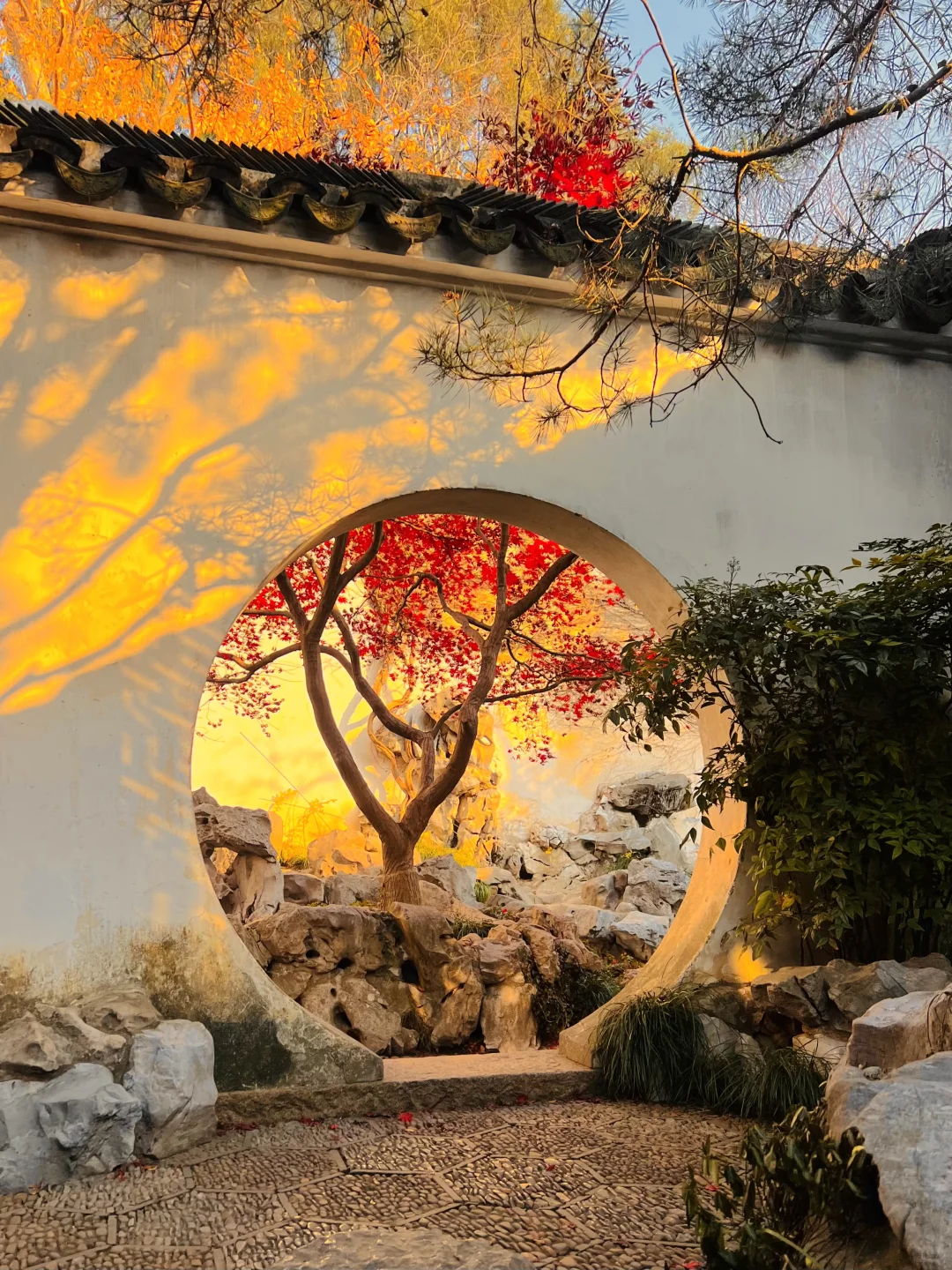 苏州的秋天即将封神 ！！！