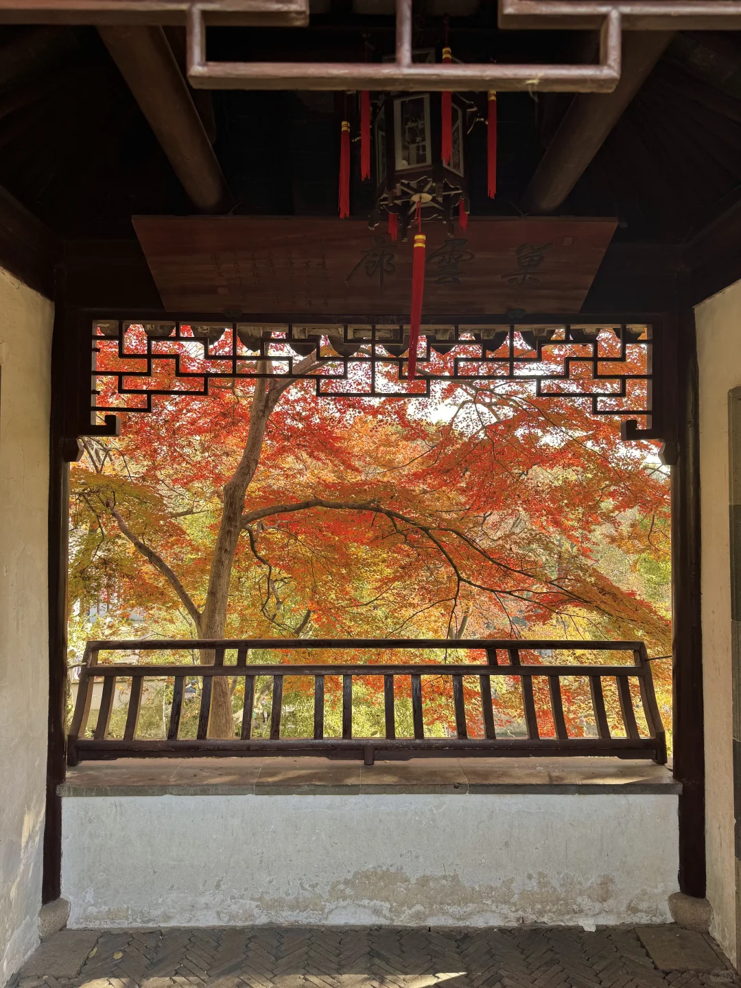 11.30实况｜虎丘秋景已经封神！！！！！🍁🍂