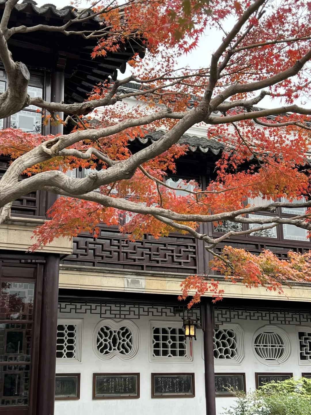 上有天堂、下有蘇杭🌷🌱🌸🍃🍁💐