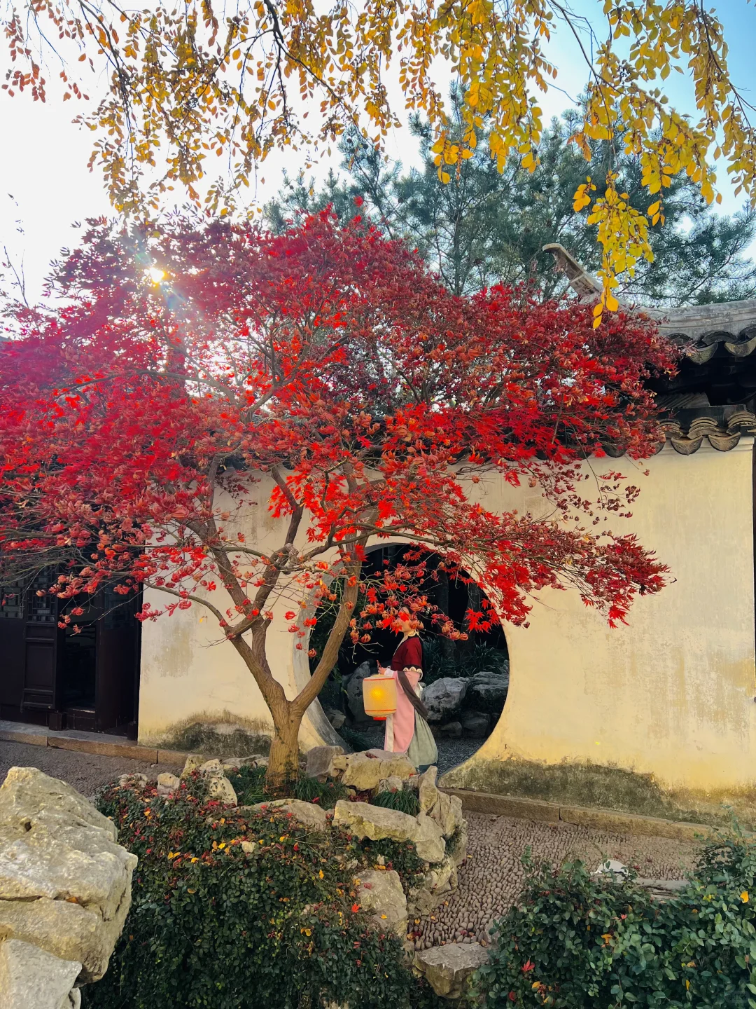 苏州的秋天即将封神 ！！！