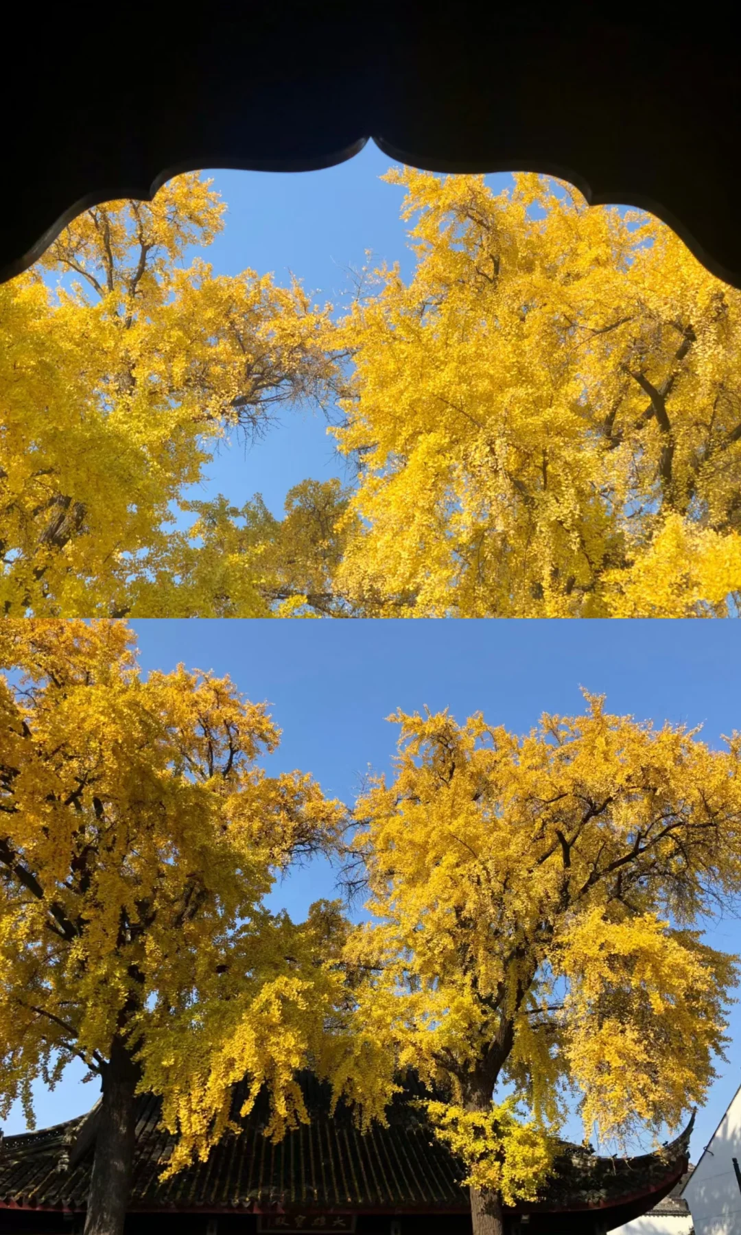 18张live图🍁告诉你苏州秋天有多美！！