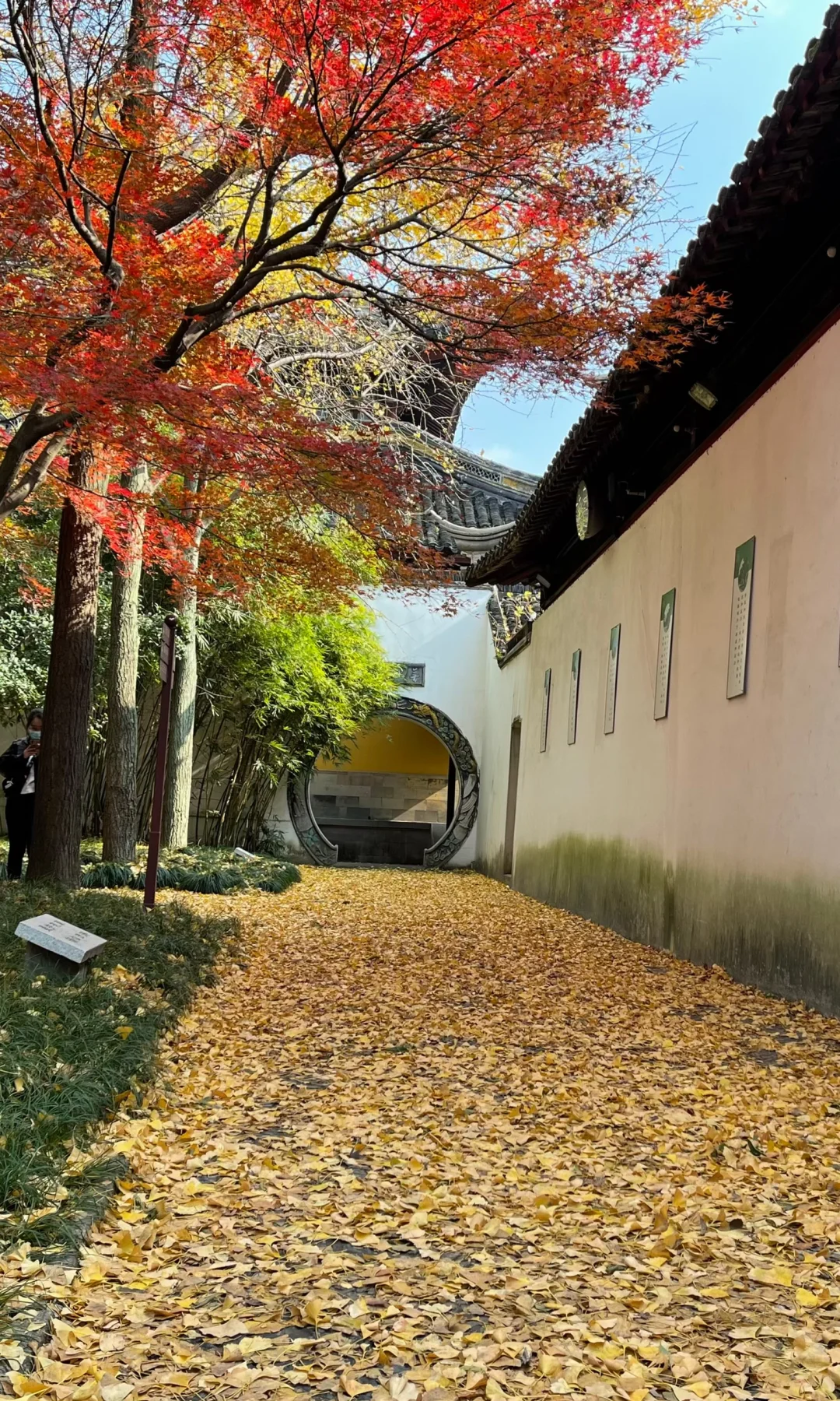 18张live图🍁告诉你苏州秋天有多美！！