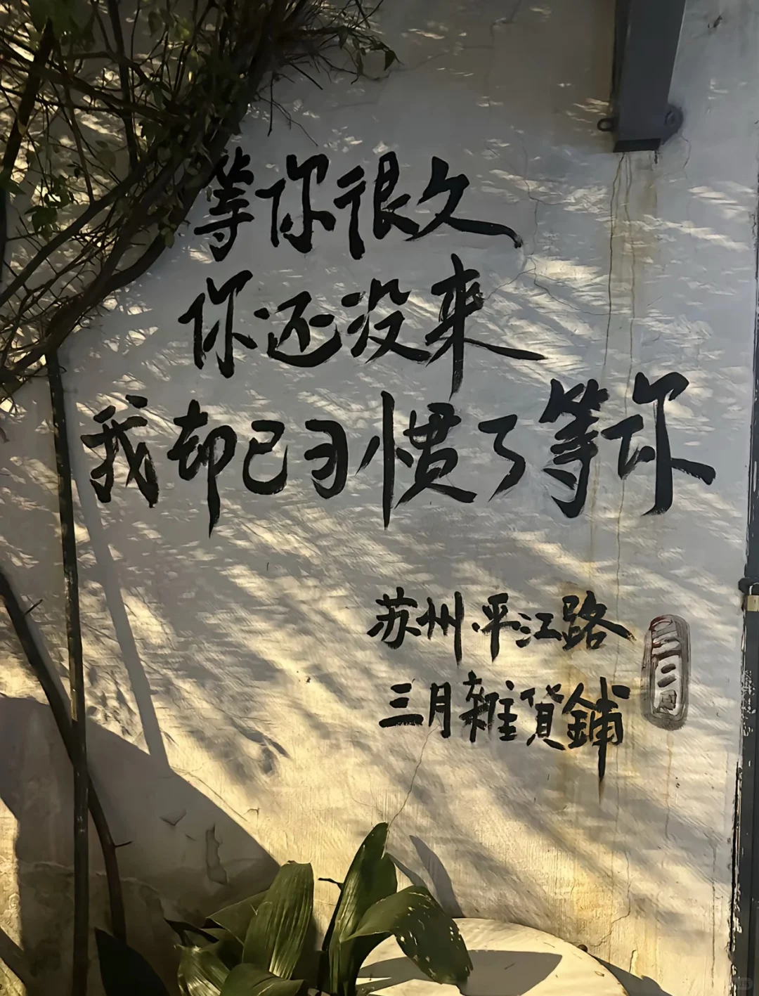 热爱镜头里的每一处苏州