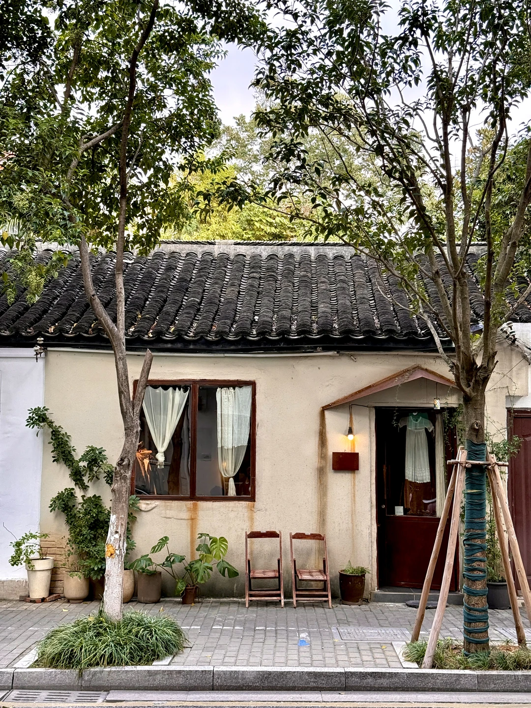 爱上苏州的一万个理由…